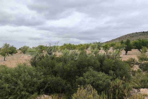 Landejendom i Caudete, Albacete, Caudete - € 39.000 | Ref: SF0580 - foto 17